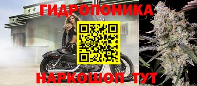 меф Краснознаменск