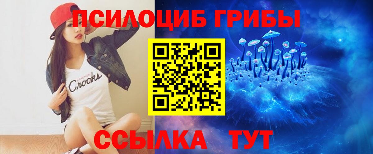 Галлюциногенные грибы Cubensis Зеленокумск